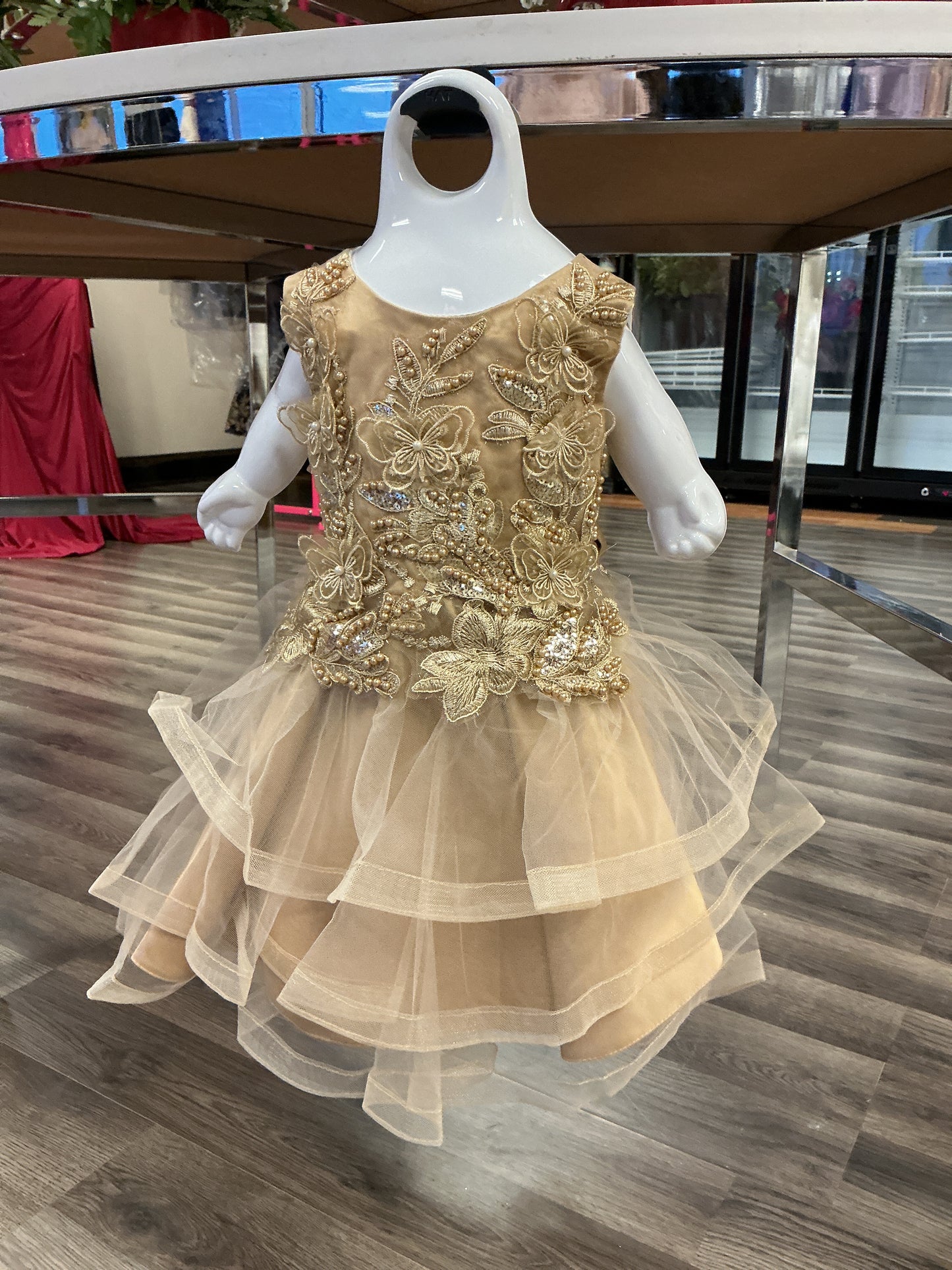 Pearl and gold youth Cinderella dress T Toddler large