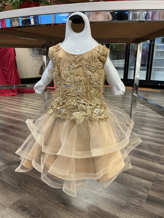 Pearl and gold youth Cinderella dress T Toddler large